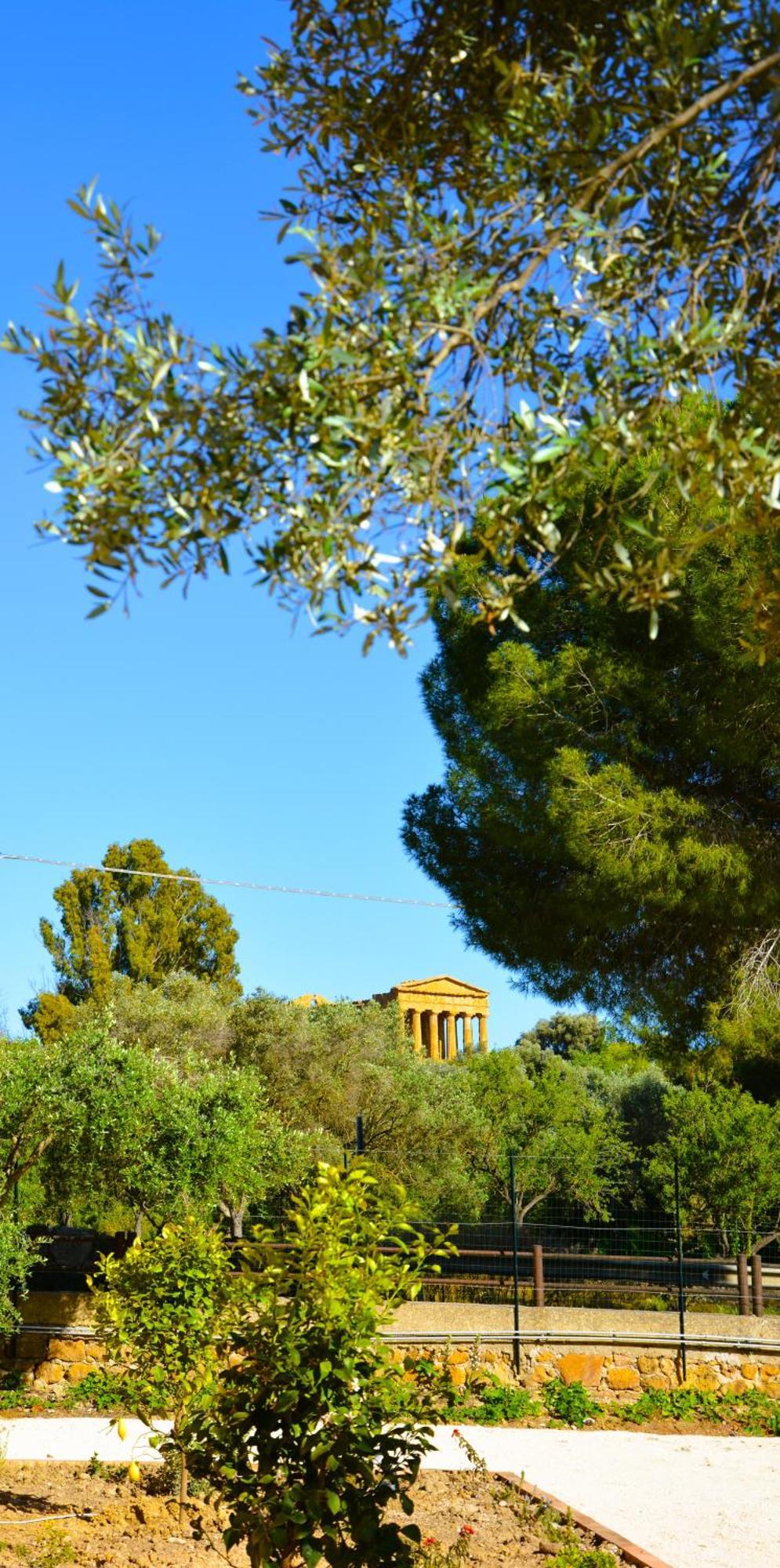 Il Giardino Del Tempio Bed & Breakfast Agrigento Exterior foto